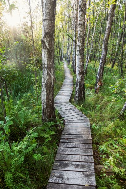 poleski national park in poland 